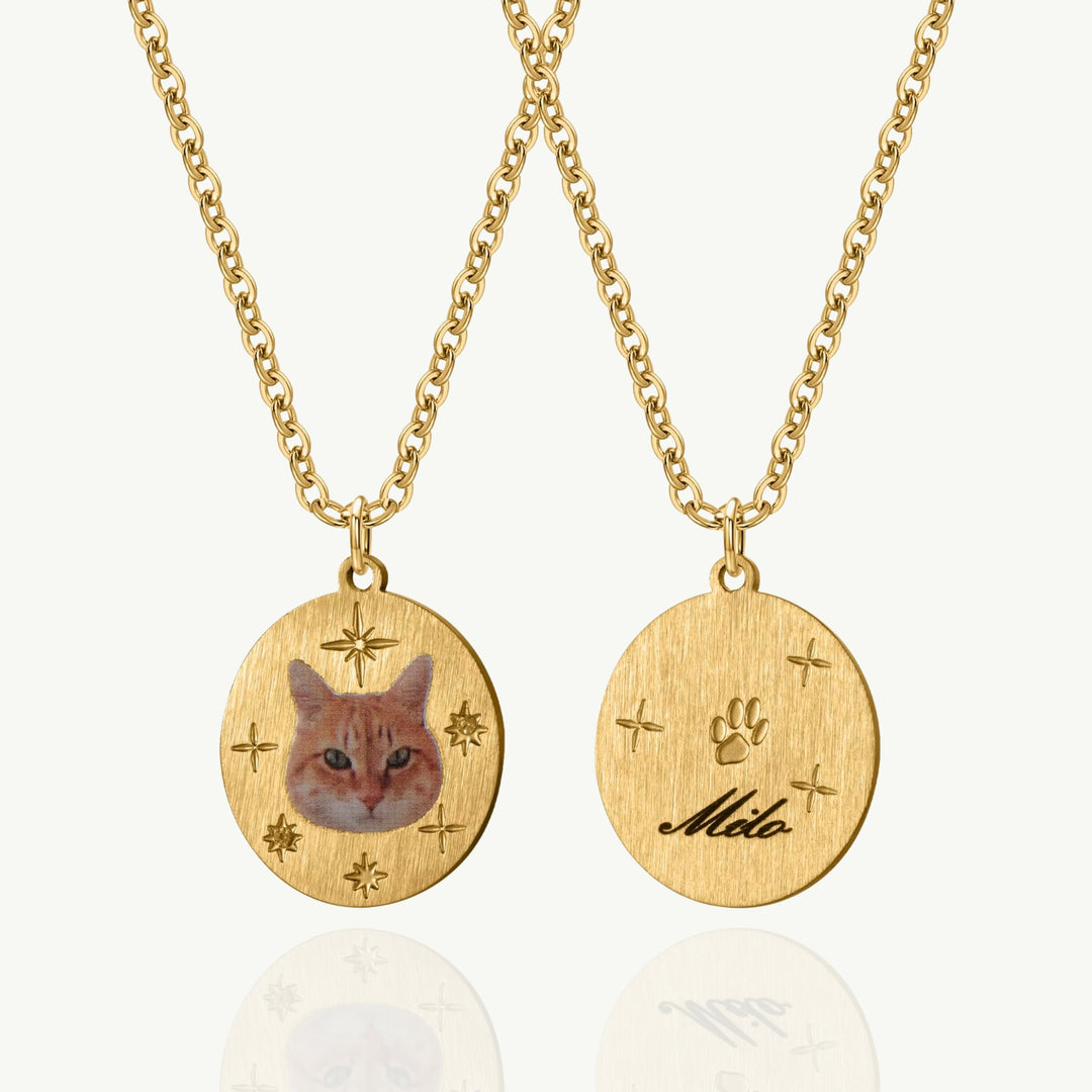 Colar Personalizado Com Pingente Pet Em Aço Inoxidável